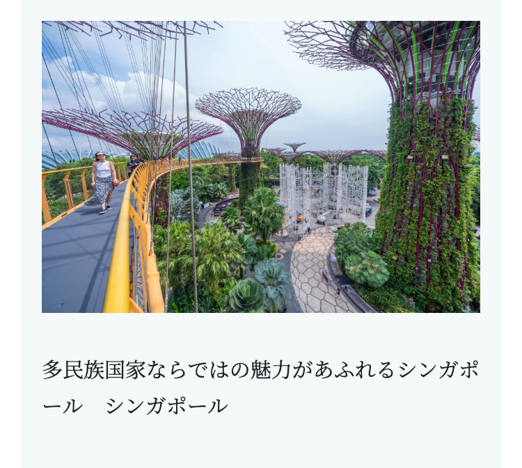 多民族国家ならではの魅力があふれるシンガポ
ール シンガポール