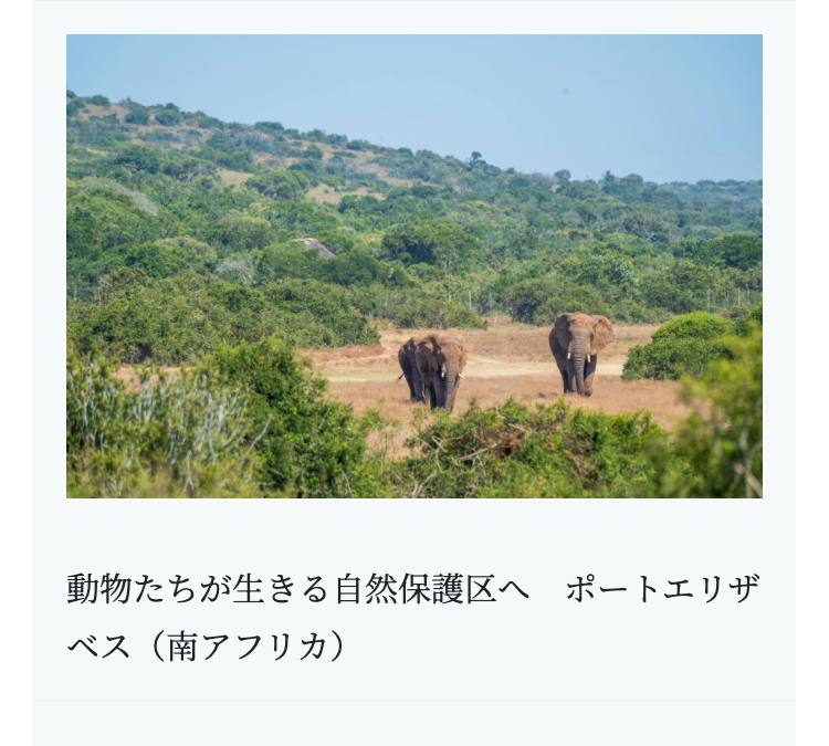 動物たちが生きる自然保護区へ ポートエリザ
ベス(南アフリカ)